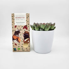 Load image into Gallery viewer, Assorted Succulent &amp; Chocolate Gift - Sydney Only

