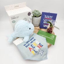 Load image into Gallery viewer, Baby Boy Succulent Gift Hamper - Sydney Only
