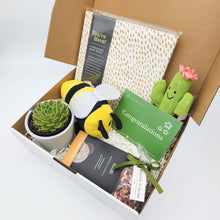 Load image into Gallery viewer, Baby - Succulent Hamper Gift Box
