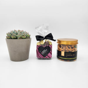 Bereavement Gift Hamper Box with Succulent
