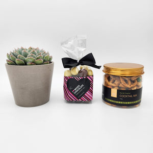 Bereavement Gift Hamper Box with Succulent