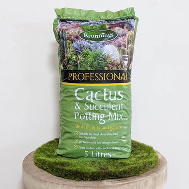 Brunnings Cactus & Succulent Mix 5L