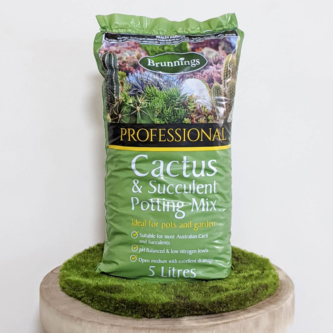 Brunnings Cactus & Succulent Mix 5L