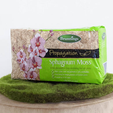 Brunnings Sphagnum Moss 150g