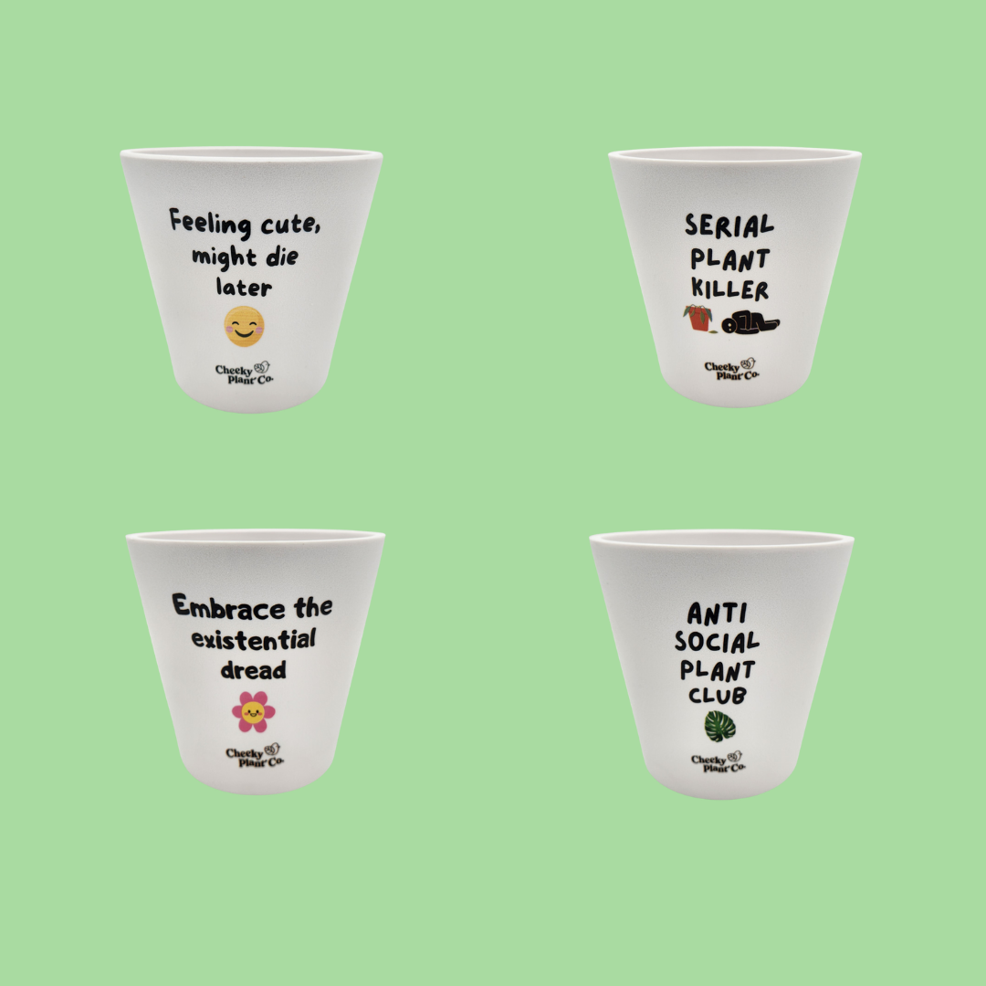 Dead Inside Cheeky Pots Four Pack 13.5cmD x 11.5cmH Cheeky Plant Co.