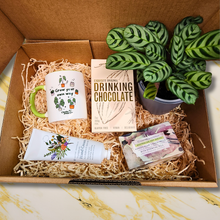 Load image into Gallery viewer, Pamper Wellness Plant Gift Box
