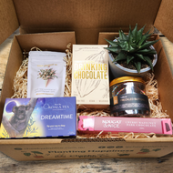 Self Care Succulent Gift Box