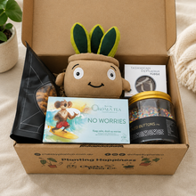 Load image into Gallery viewer, Treat Yourself Plushie Gift Box
