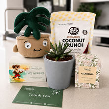 Load image into Gallery viewer, Thank You - Succulent Hamper / Succulent Gift Box - Sydney Only
