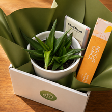 Load image into Gallery viewer, Condolence Gift Hamper - Better than Bouquets - Sydney Only
