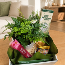 Load image into Gallery viewer, Happy Housewarming Plant Gift Hamper - Sydney Only
