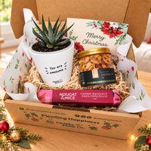 Load image into Gallery viewer, Christmas Succulent Gift Box
