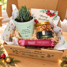 Load image into Gallery viewer, Christmas Succulent Gift Box
