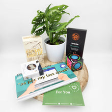 Load image into Gallery viewer, Colleague / Office Plant Gift Hamper - Sydney
