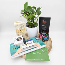 Load image into Gallery viewer, Colleague / Office Plant Gift Hamper - Sydney
