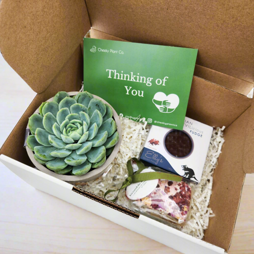 Comforting Sympathy Gift Box