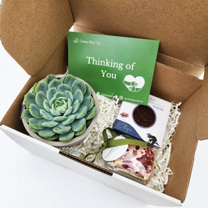 Comforting Sympathy Gift Box