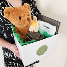 Load image into Gallery viewer, Condolence Succulent Gift Hamper - Sydney Only
