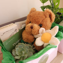 Load image into Gallery viewer, Condolence Succulent Gift Hamper - Sydney Only
