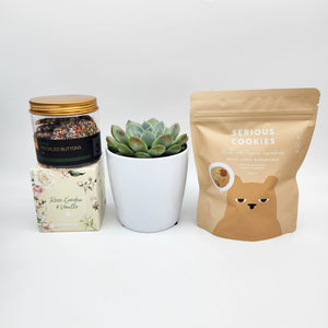 Deepest Sympathy Gift Hamper with Succulent - Sydney Only