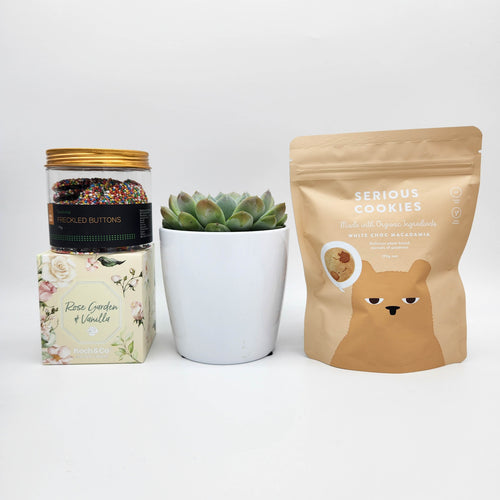 Deepest Sympathy Gift Hamper with Succulent - Sydney Only