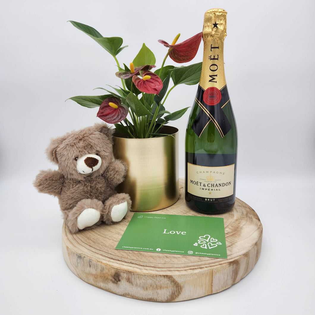 Everlasting Anniversary Champagne Hamper / Champagne Gift - Sydney Only