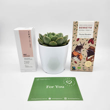 Load image into Gallery viewer, For You - Vegan Gift Hamper with Succulent - Sydney Only

