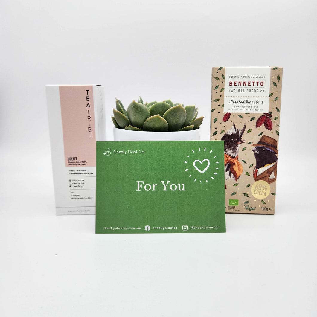 For You - Vegan Gift Hamper with Succulent - Sydney Only