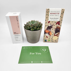 For You - Vegan Hamper Gift Box with Succulent
