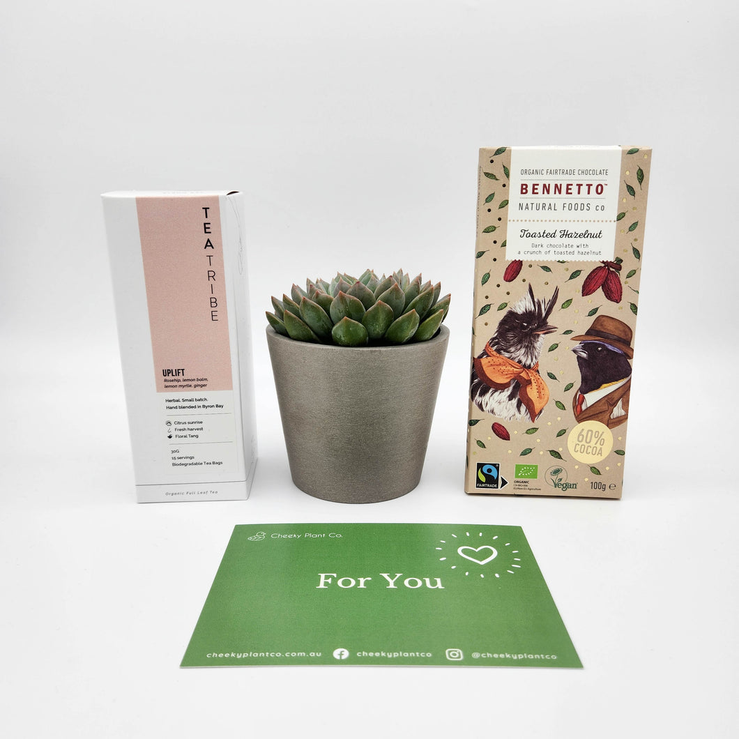 For You - Vegan Hamper Gift Box with Succulent
