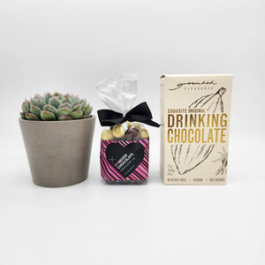 Funeral Condolence Gift Hamper Box with Succulent