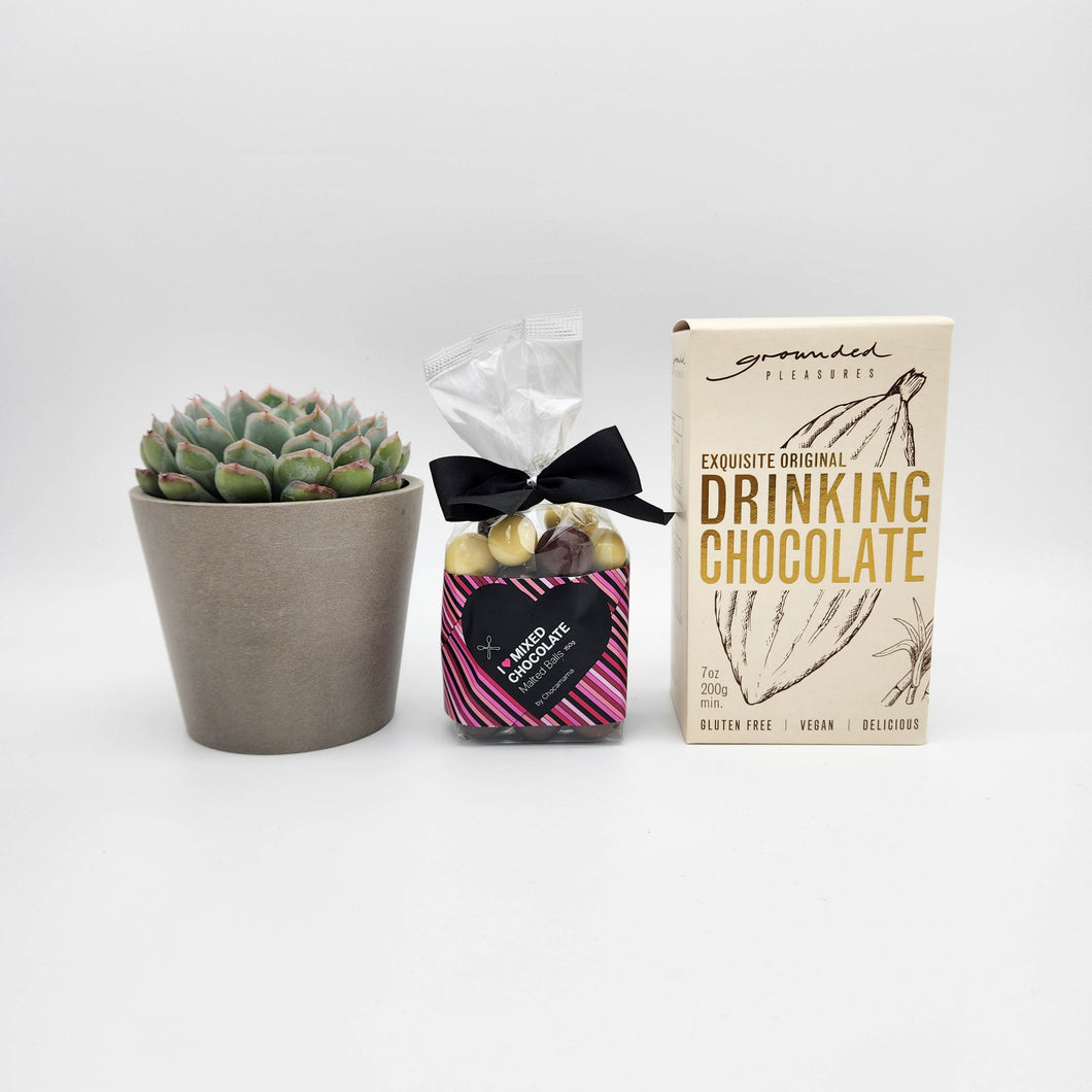 Funeral Condolence Gift Hamper Box with Succulent