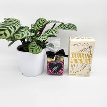 Load image into Gallery viewer, Funeral Condolence Gift Hamper with Assorted Houseplant - Sydney Only
