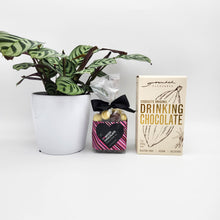 Load image into Gallery viewer, Funeral Condolence Gift Hamper with Assorted Houseplant - Sydney Only
