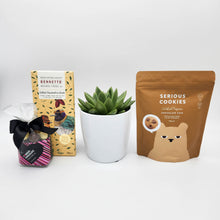 Load image into Gallery viewer, Get Well Soon Cookies Gift Hamper with Succulent - Sydney Only
