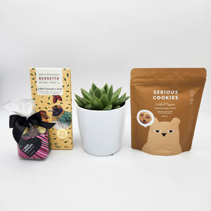 Get Well Soon Cookies Gift Hamper with Succulent - Sydney Only