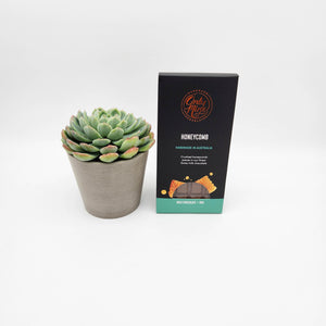 Get Well Soon Gift - Succulent & Chocolate Gift Box