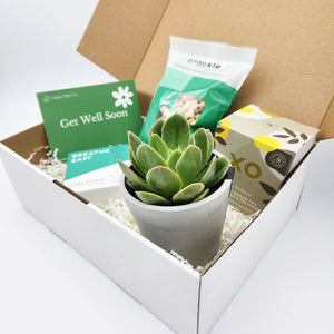 Get Well Soon - Succulent Hamper Gift Box