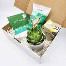 Load image into Gallery viewer, Get Well Soon - Succulent Hamper Gift Box
