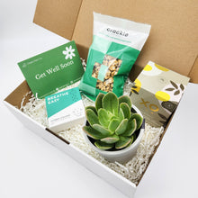 Load image into Gallery viewer, Get Well Soon - Succulent Hamper Gift Box
