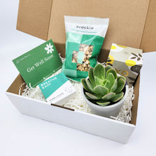 Load image into Gallery viewer, Get Well Soon - Succulent Hamper Gift Box
