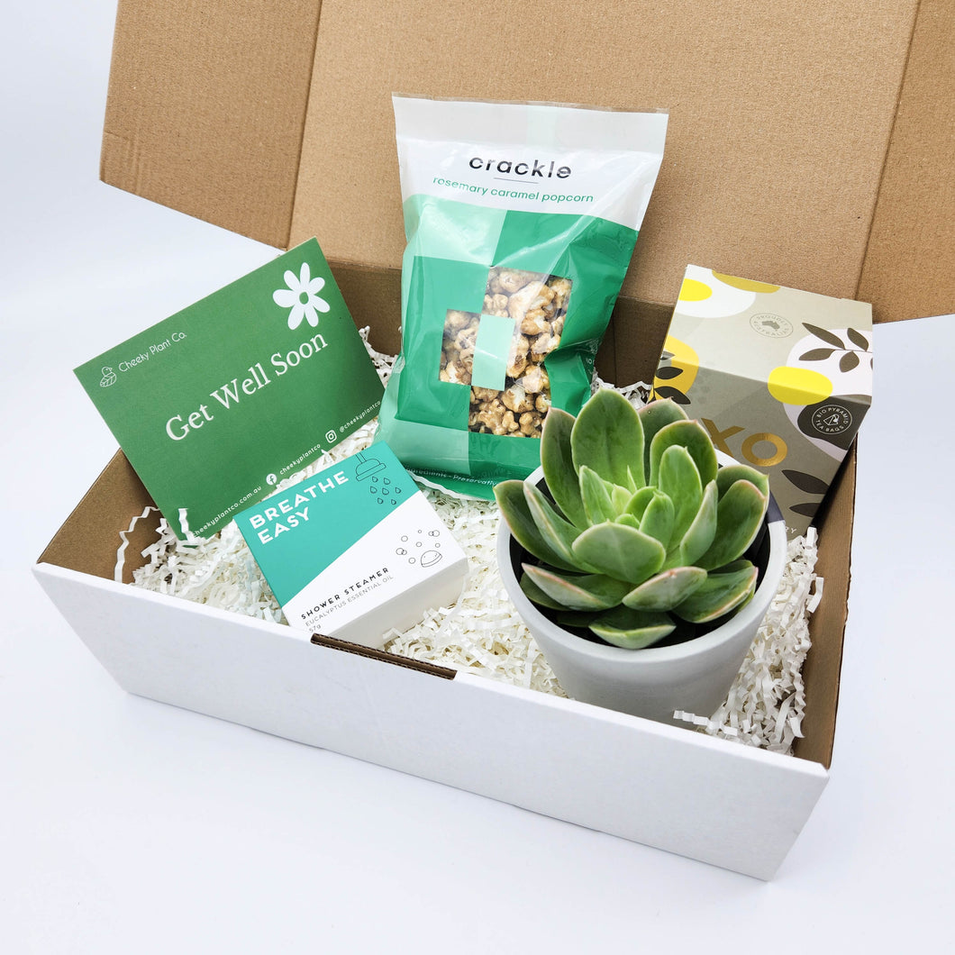 Get Well Soon - Succulent Hamper Gift Box