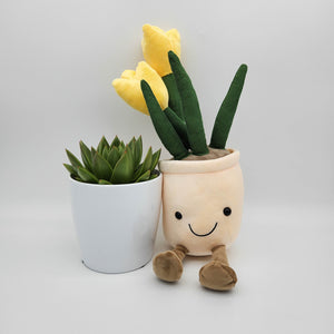 Get Well Soon - Succulent & Yellow Tulip Plushie Gift - Sydney Only