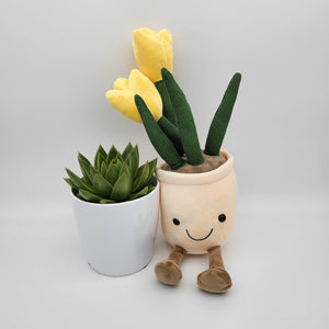 Get Well Soon - Succulent & Yellow Tulip Plushie Gift - Sydney Only