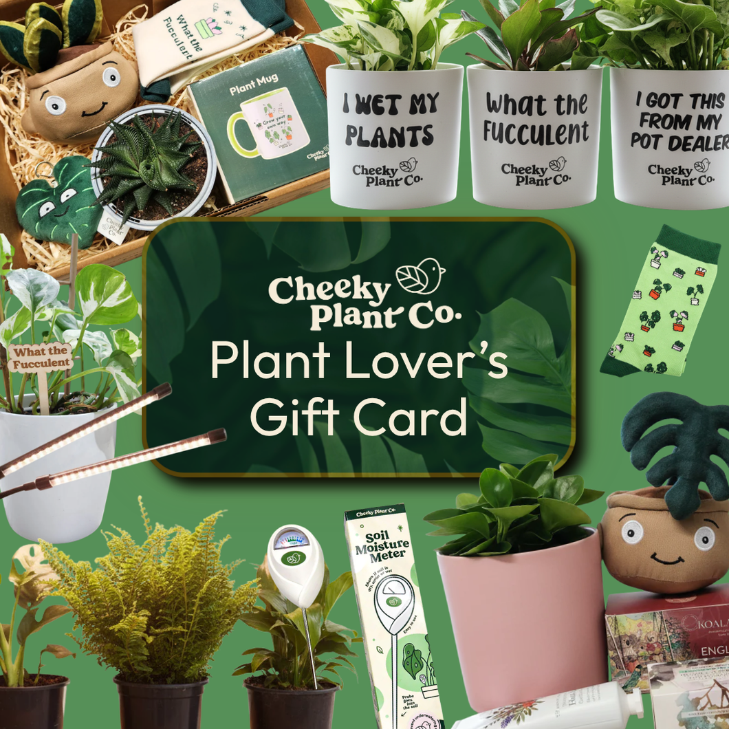Plant Gift Card | Plant Shop Instant eGift Card (Digital)