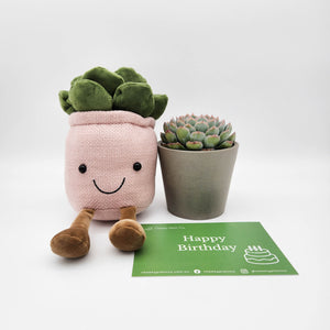 Happy Birthday - Plant Plushie in Pink & Succulent Gift Box