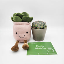 Load image into Gallery viewer, Happy Birthday - Plant Plushie in Pink &amp; Succulent Gift Box
