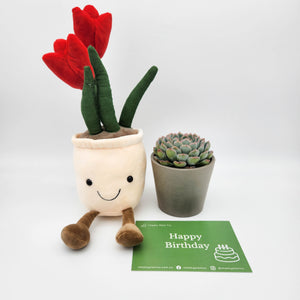 Happy Birthday - Red Tulip Plushie & Succulent Gift Box