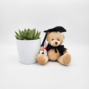 Happy Graduation Bear & Succulent Gift - Sydney Only