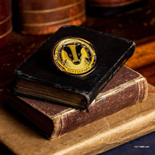 Load image into Gallery viewer, Harry Potter Trinket Pouch - Hufflepuff
